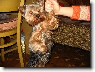 �ampion!!!!!!!!