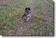 Hela Od Star� vsi