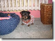 V�no�n� Nathaly