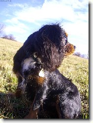 Ohl�dnut� se