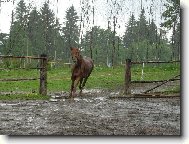 to je slejv�k