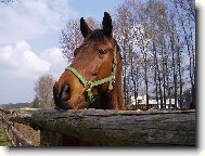 Pohled do d�lky
