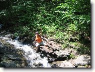 V Krkono��ch