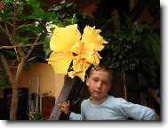 Moje kv�tka