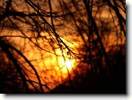 Ho��?