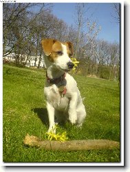 Jaro u� je tady =)