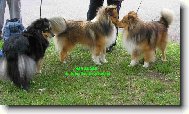 ALDAN z Trmick�ch pol�