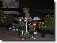 Rozkvetl� balkon