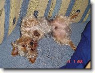 Bert�k