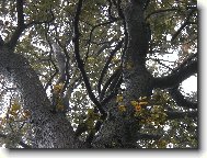 vzh�ru do nebe