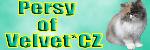 Chovatelska stanice ps�: PERSY OF VELVET*CZ