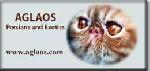 Chovatelska stanice ps�: AGLAOS